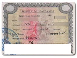 廣州專業(yè)代辦烏干達(dá)商務(wù)簽證 高效特快服務(wù)全攻略